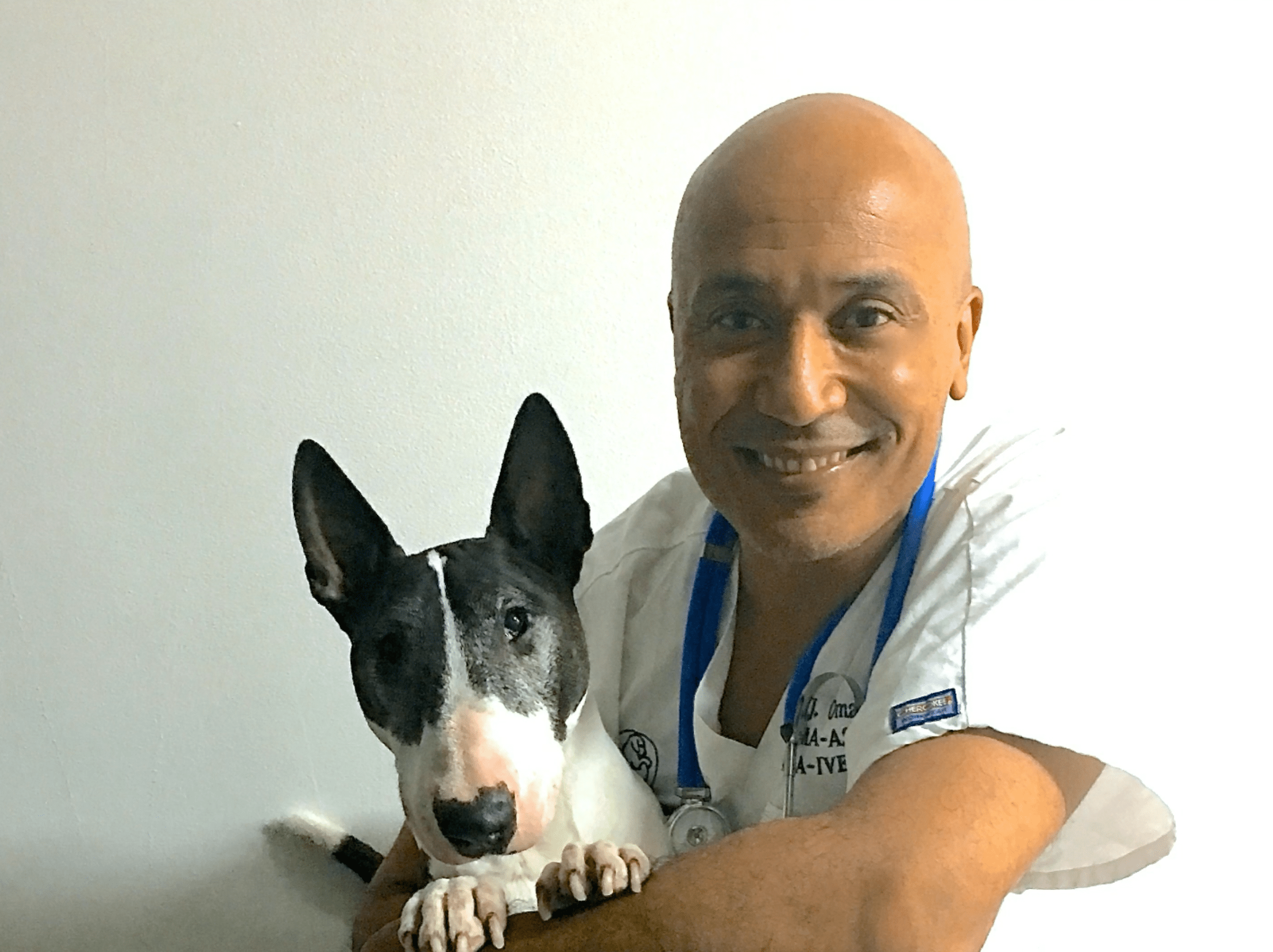 Vétérinaire Versoix, Veterinaire Versoix, Versoix Veterinaire, Versoix Vétérinaire, cabinet vétérinaire versoix, cabinet veterinaire versoix, clinique vétérinaire versoix, vétérinaire de Garde Versoix,veterinaire de Garde Versoix, Cabinet Vétérinaire International