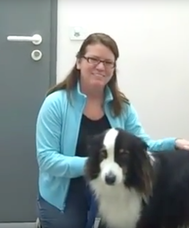 Vétérinaire Versoix