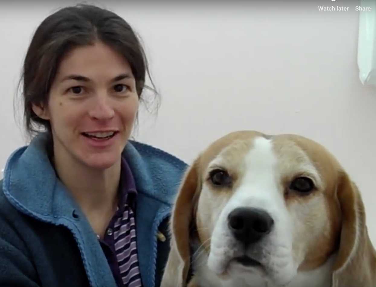  vétérinaire Mies, vétérinaire Genève, vétérinaire Nyon, vétérinaire Versoix, vétérinaire Commugny