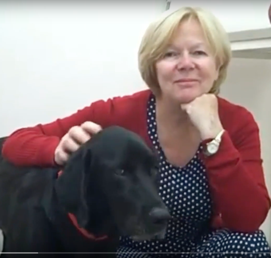 Vétérinaire Versoix