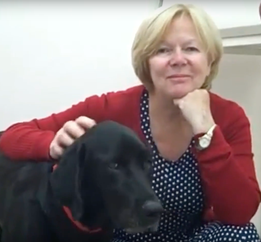  vétérinaire Mies, vétérinaire Genève, vétérinaire Nyon, vétérinaire Versoix, vétérinaire Commugny