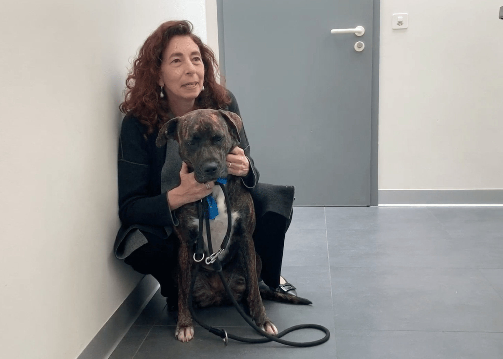 Vétérinaire Versoix