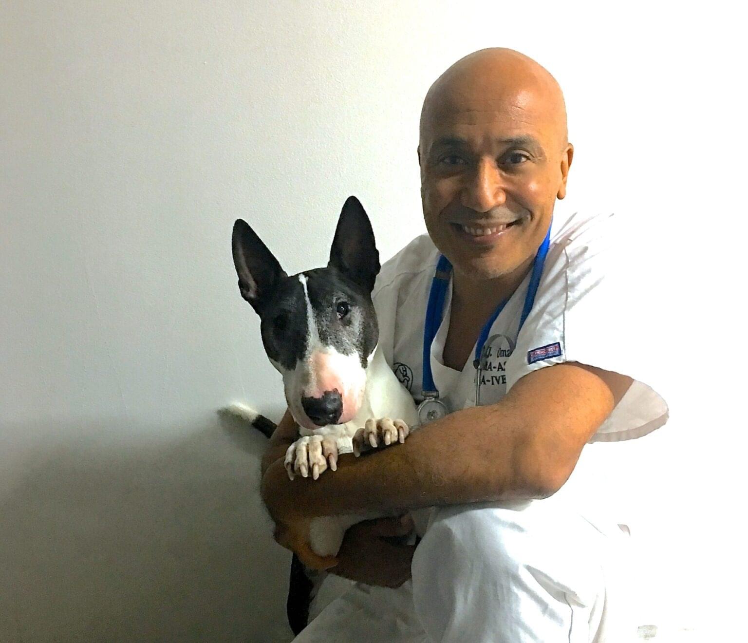  vétérinaire Mies, vétérinaire Genève, vétérinaire Nyon, vétérinaire Versoix, vétérinaire Commugny