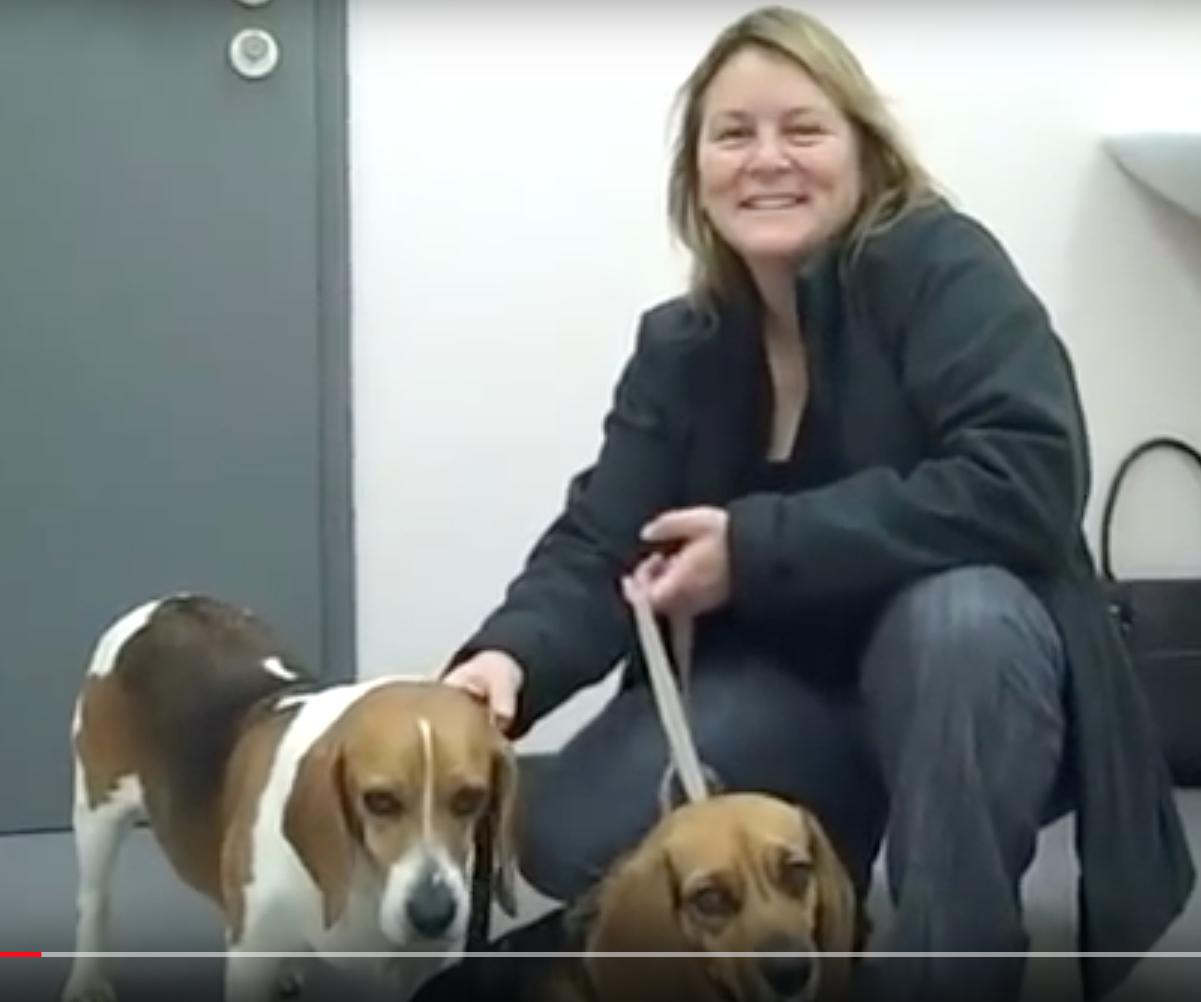 Vétérinaire Versoix